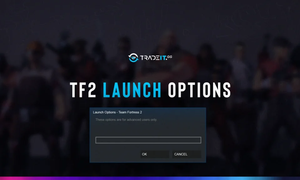 tf2 launch options