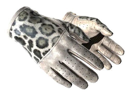 recoil case gloves
