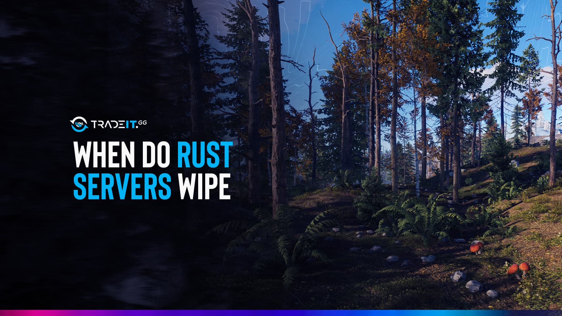 When do Rust Server Wipe?