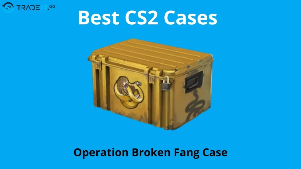 Operation Broken Fang Case as the best  cs2 case