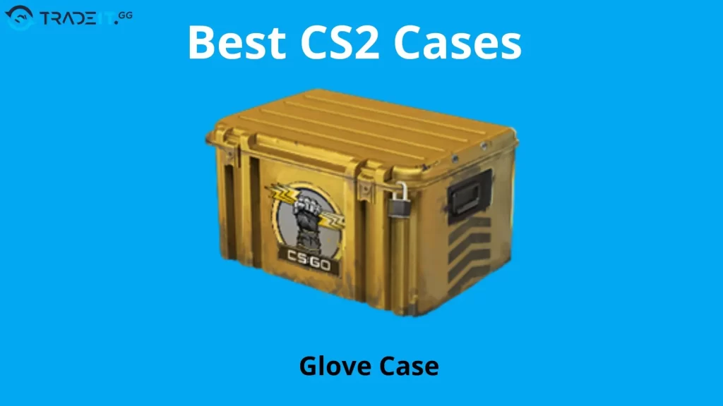 Glove Case