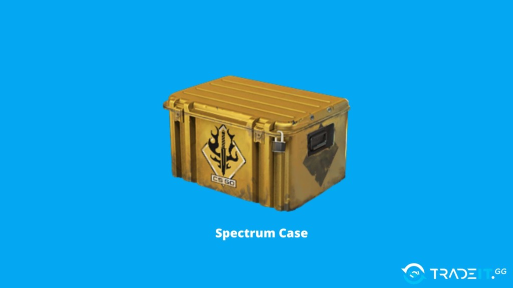 Spectrum Case