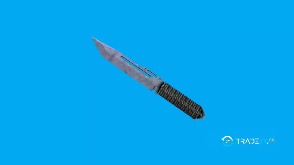 Paracord Knife | Blue Steel cs2 knife