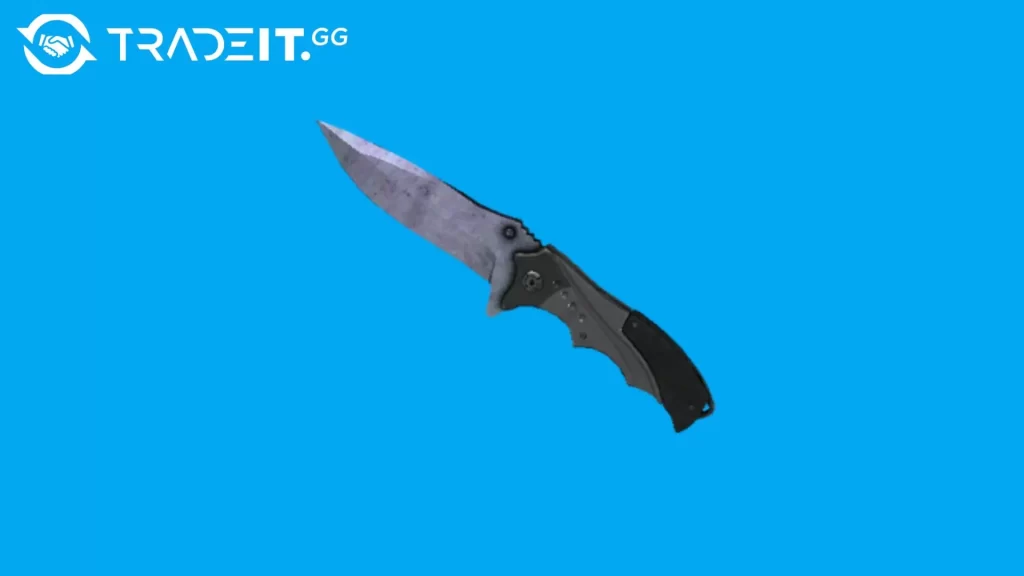 Best Nomad Knife Skins in CS2
