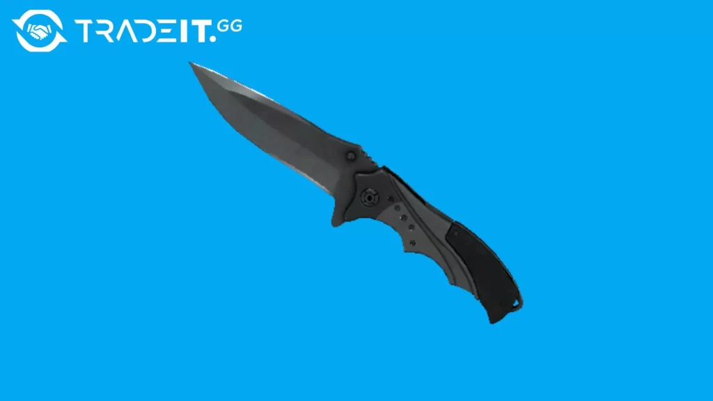 Best Nomad Knife Skins in CS2
