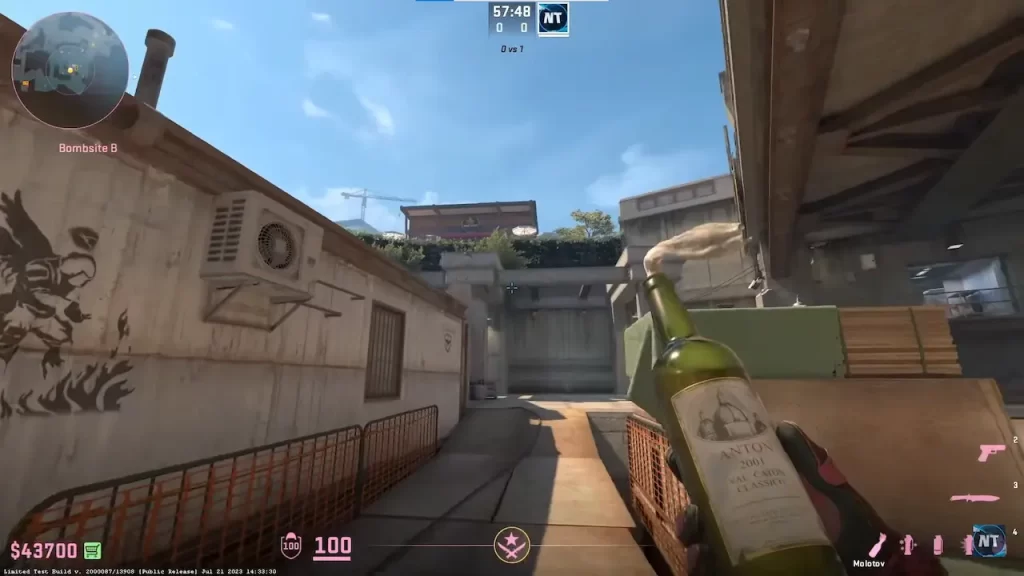 CS2 molotov 