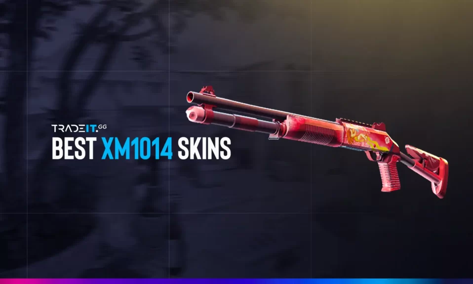 best XM1014 skins