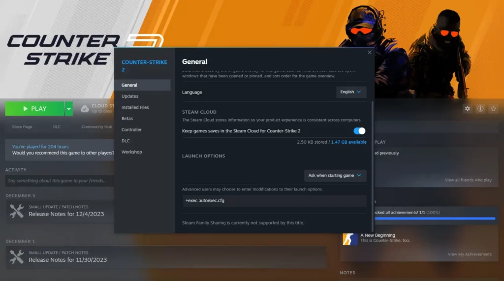 best cs2 launch options