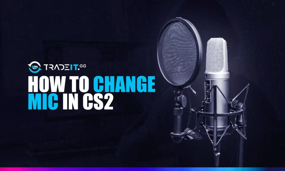 Change Mic in CS2