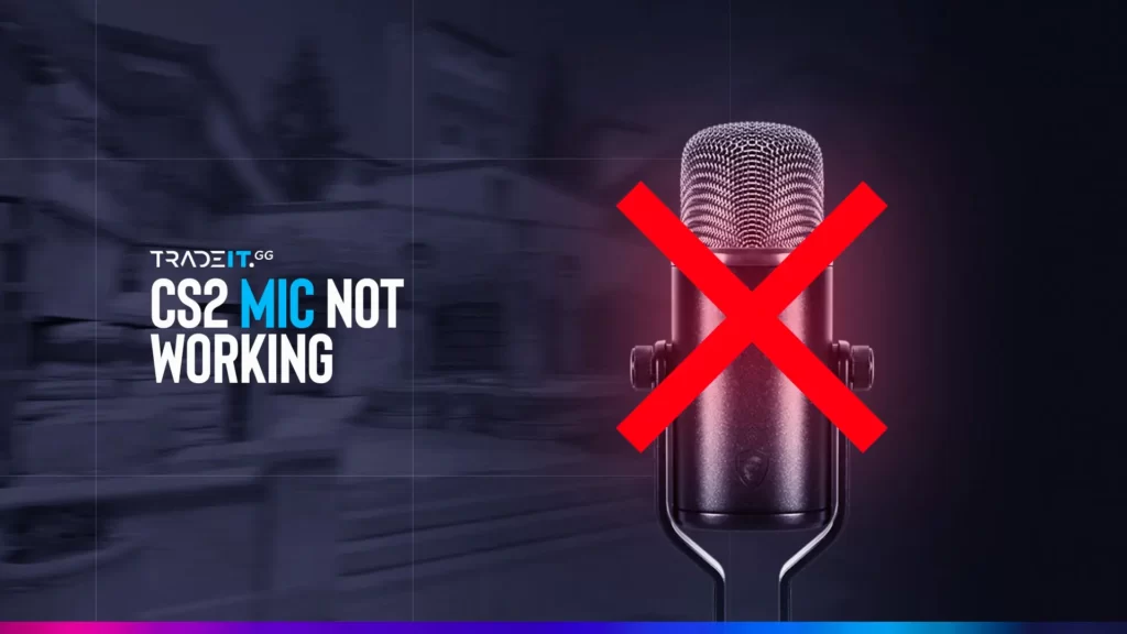 CS2 Mic Is Not Working