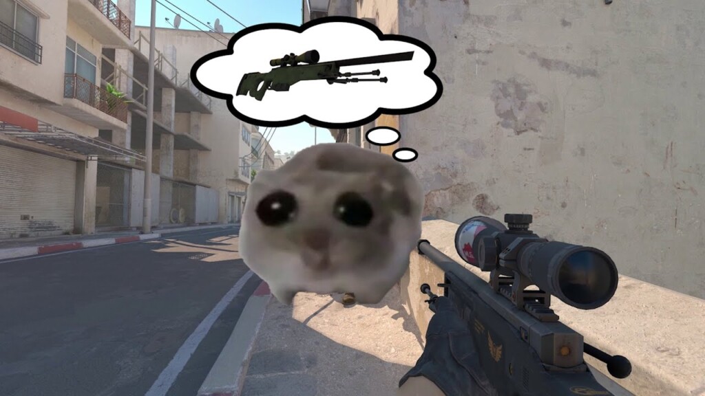 Sad CS2 Hamster