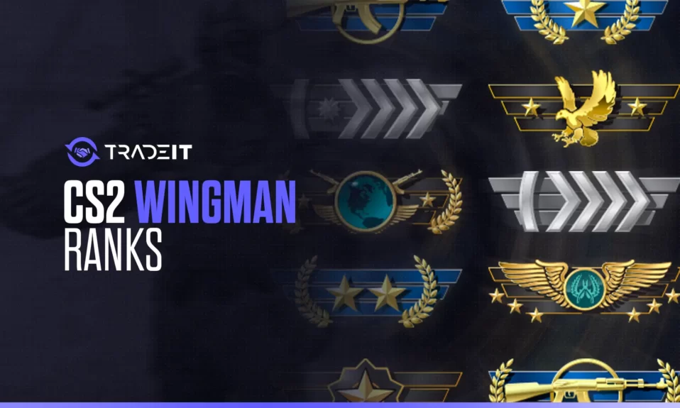 CS2 wingman ranks