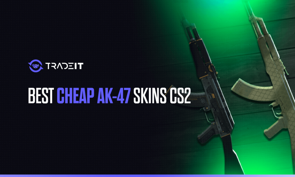 Discover 12 of the best AK-47 skins in CS2 that are cheap.
