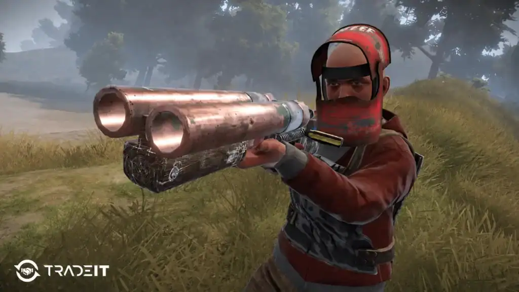 What is a Rust Force Wipe?