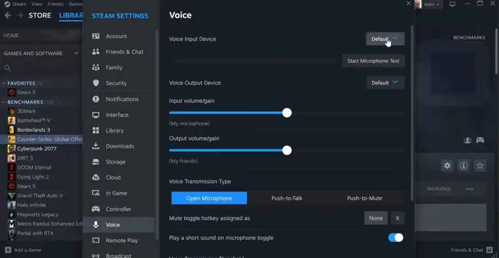 Rust Mic Not Working