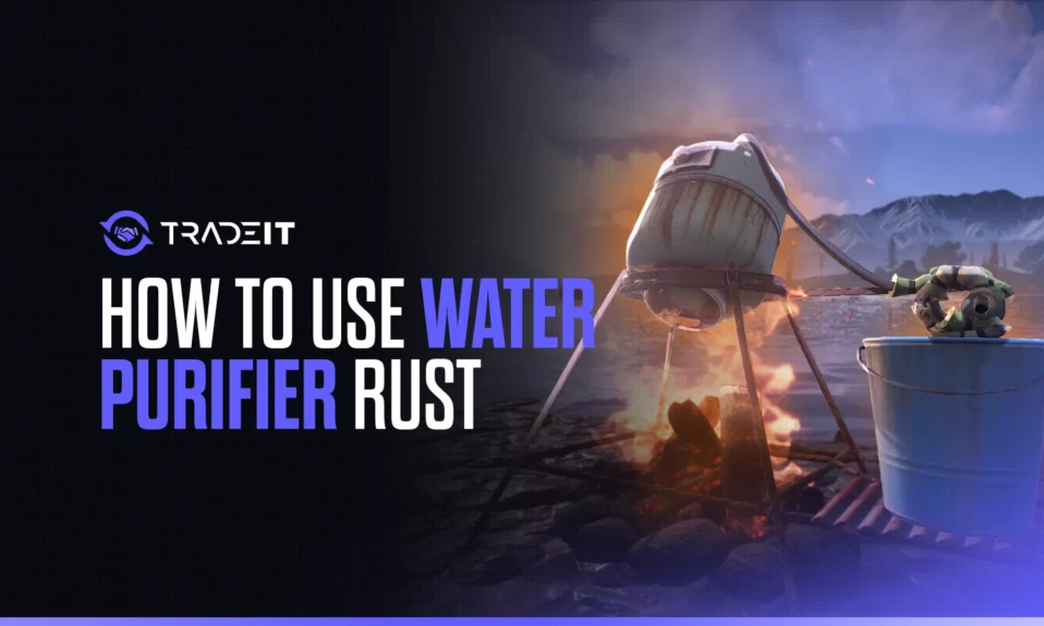 Learn how to use water purifier in rust