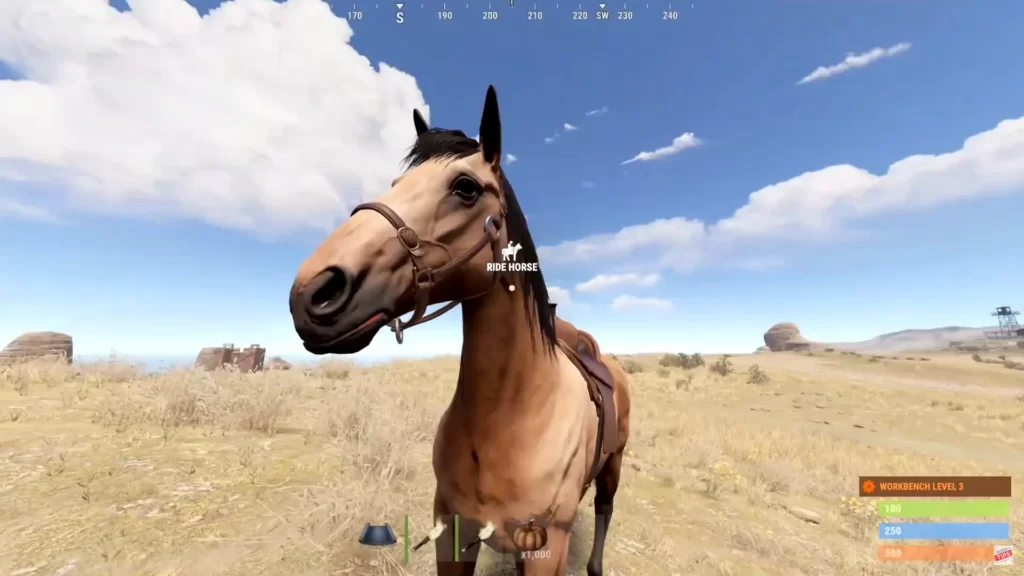 what do horses eat in rust