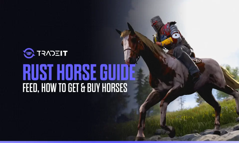 Learn all you need about finding and keeping a horse in Rust.