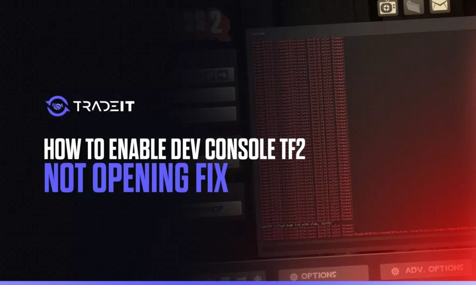 In some cases, the TF2 developer console is not as easy to enable as you might expect. This guide tells you how to fix the problem.
