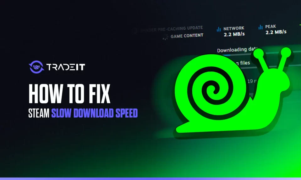 Learn how to fix slow downloads on Steam. This problem can be very annoying when trying to download 50-100GB games but you can solve it quickly.
