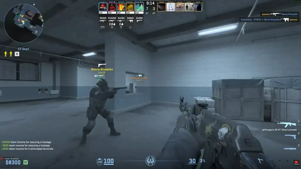 CS2 Roles and Positions