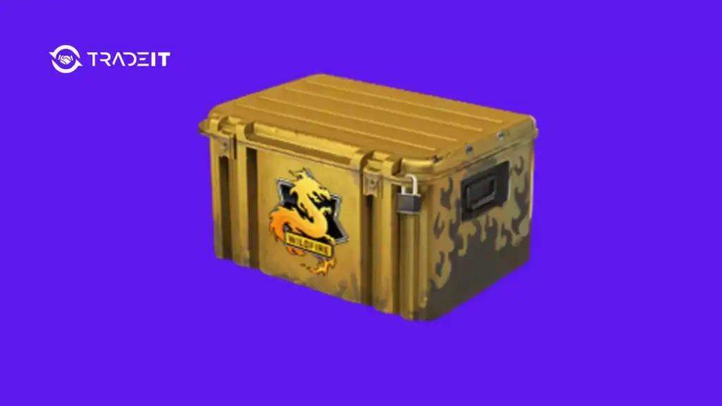 Best ROI Cases in CS2