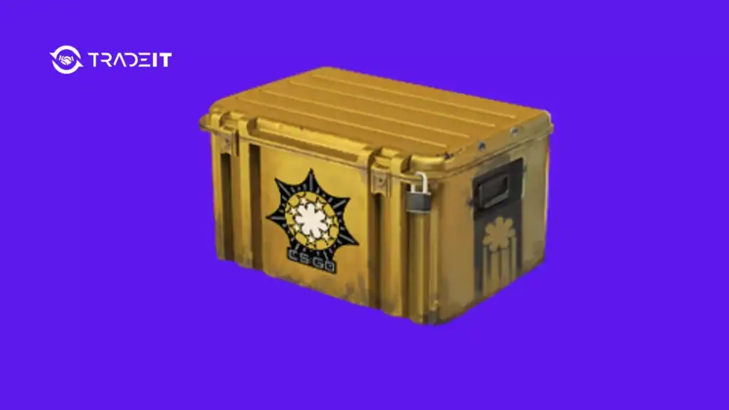 Best ROI Cases in CS2