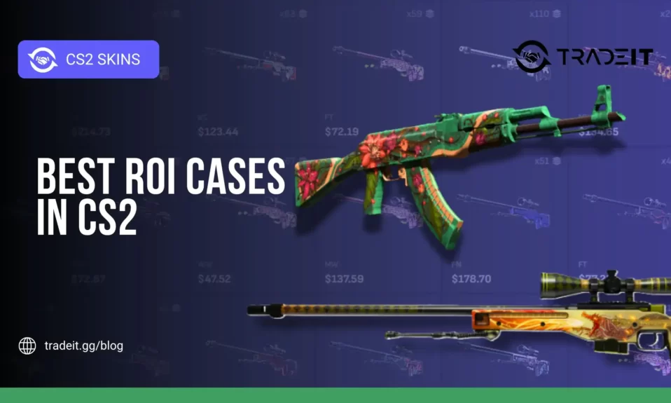 Best ROI Cases in CS2