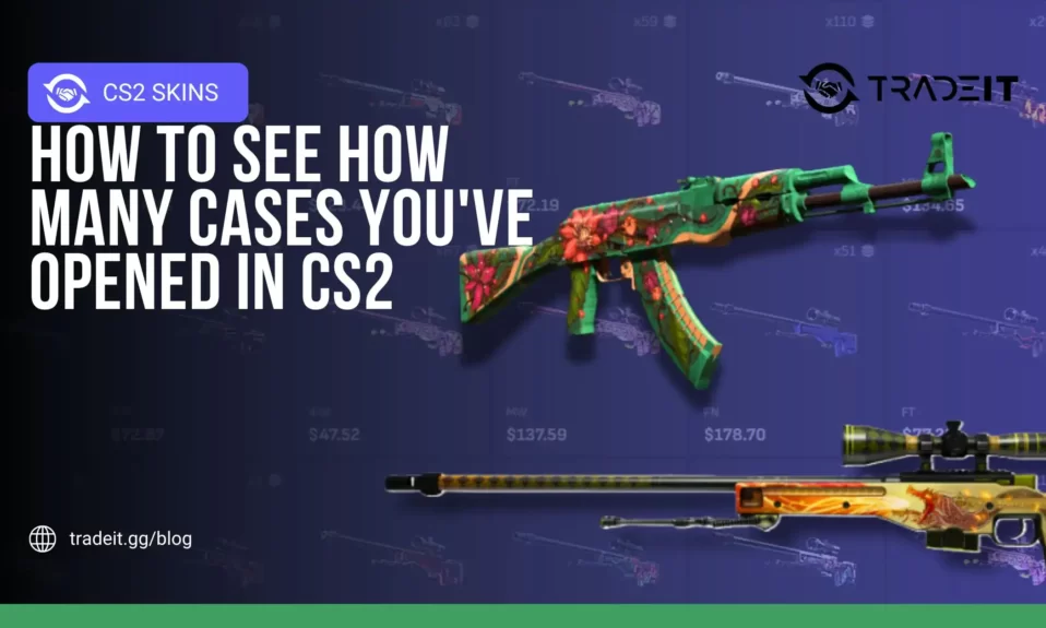 How to See How Many Cases You've Opened in CS2