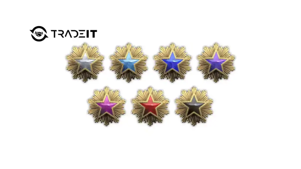 CS2 service medals
