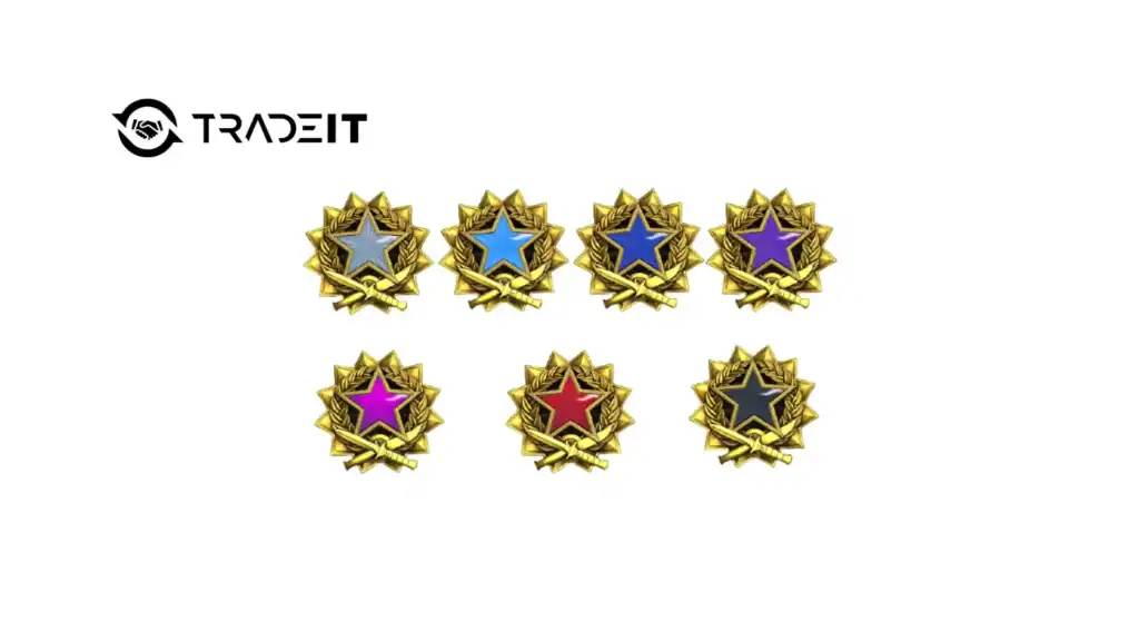 CS2 Service Medals