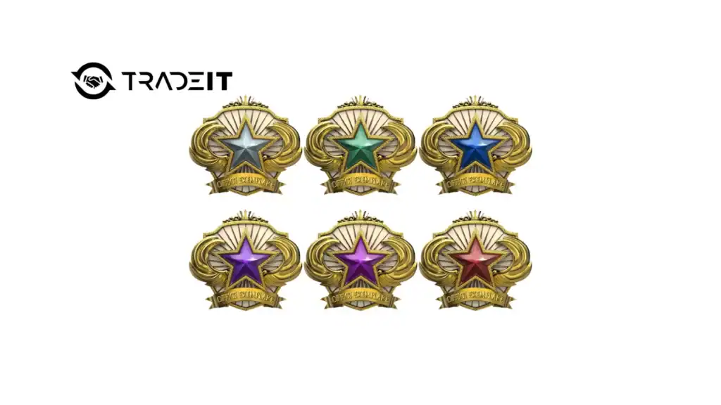 CS2 Service Medals