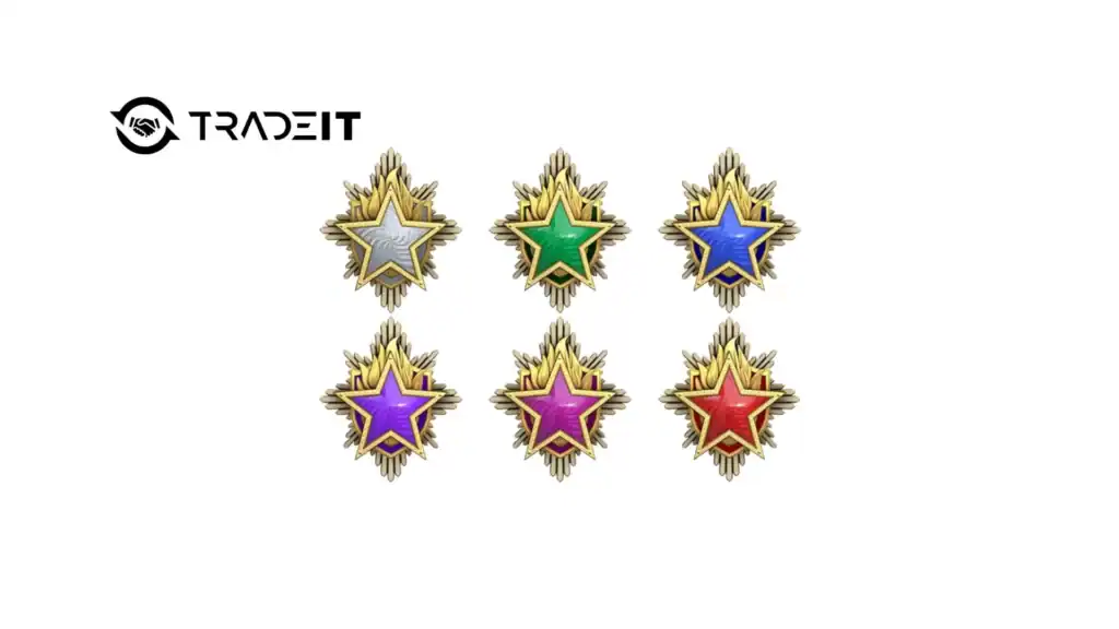CS2 Service Medals