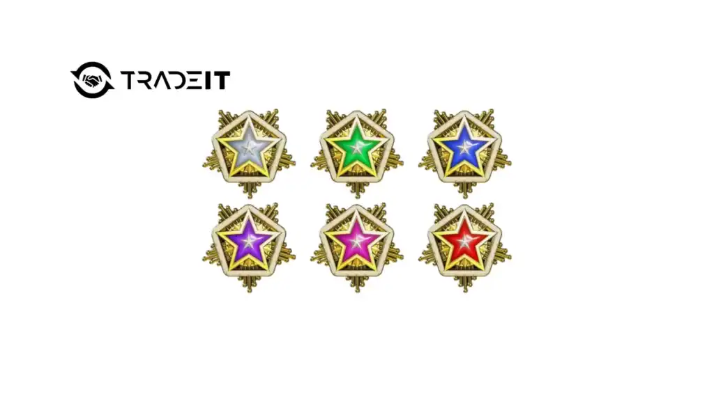 CS2 Service Medals