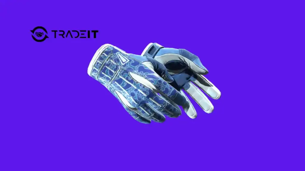 CS2 Blue Gloves - 01 Tradeit.gg Blog | CS2, CS:GO, Rust, TF2 & Dota 2 CS2 Blue Gloves