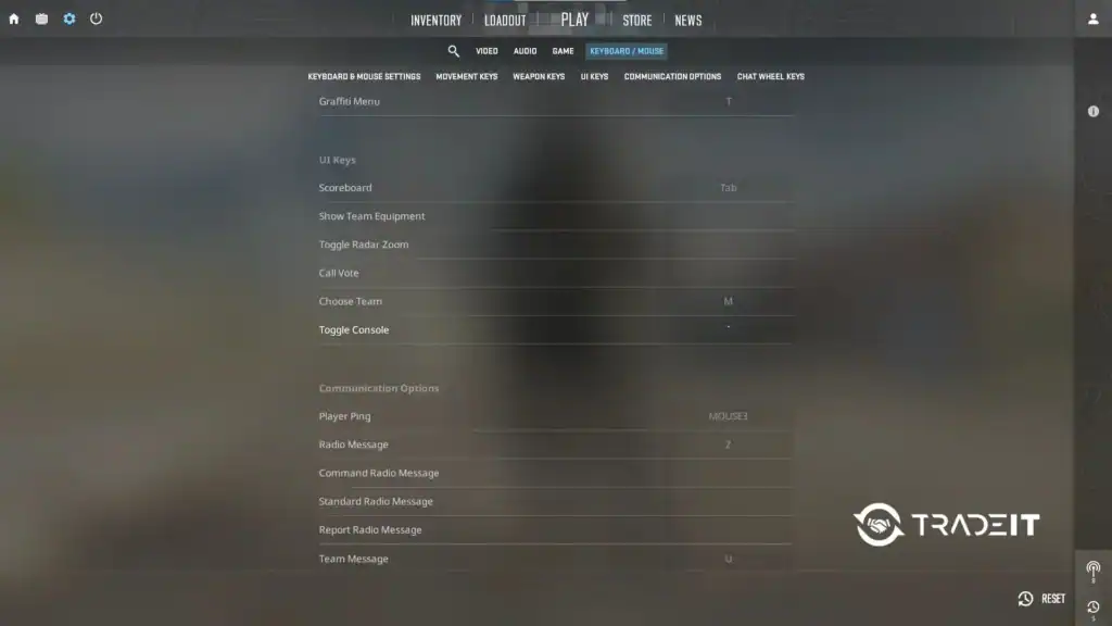 Why Is the CS2 Console Not Opening?
