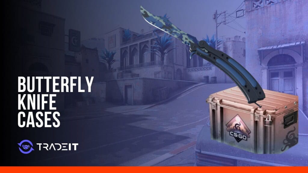 CS2 Butterfly Knife cases