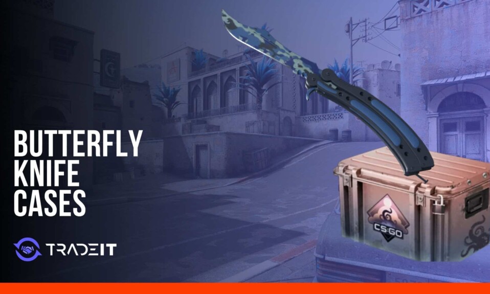 CS2 Butterfly Knife cases