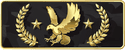 CS2 Legendary Eagle Master rank icon