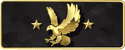 CS2 Legendary Eagle rank icon