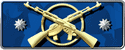 CS2 Master Guardian Elite rank icon