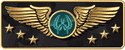 CS2 Supreme Master First Class rank icon