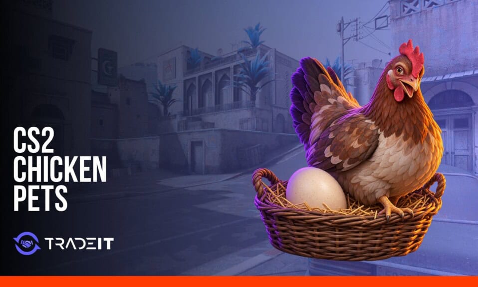 Tradeit cover art showing a chicken and egg for the CS2 pets guide