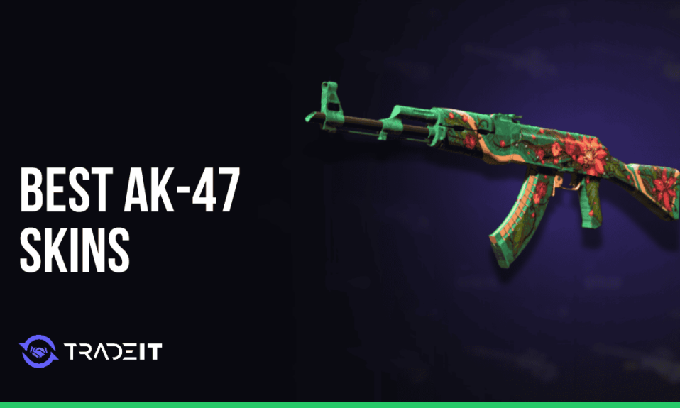 AK-47 skin choices in Counter-Strike 2