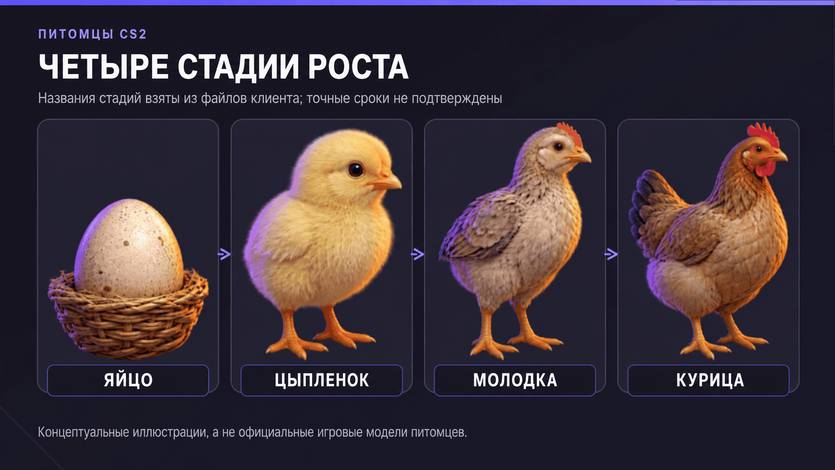 cs2-chetyre-stadii-rosta-ru Tradeit.gg Blog | CS2, CS:GO, Rust, TF2 & Dota 2 Концептуальные иллюстрации стадий роста питомца в CS2: яйцо, цыплёнок, молодка и курица