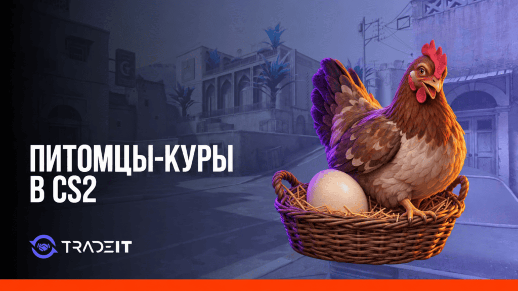 Обложка Tradeit с курицей и яйцом для гайда о питомцах в CS2