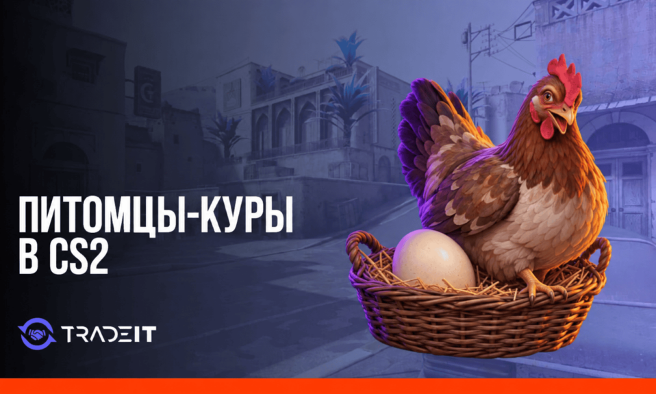 Обложка Tradeit с курицей и яйцом для гайда о питомцах в CS2